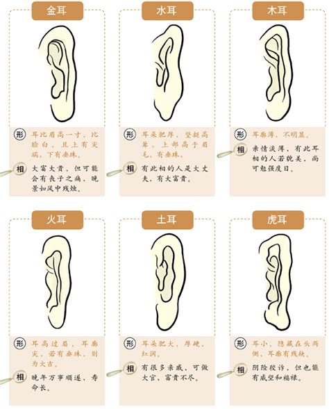 耳 相|十六种耳朵面相图文分析三六风水网